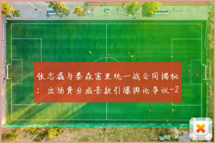 张志磊与泰森富里统一战合同揭秘:出场费分成条款引爆舆论争议