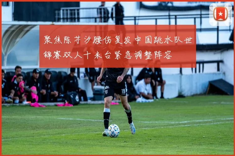 聚焦陈芋汐腰伤复发中国跳水队世锦赛双人十米台紧急调整阵容